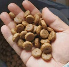 A variety of pet food produced using animal feed processors